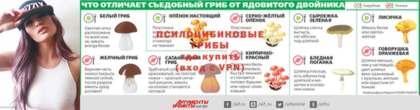 дживик Алексин